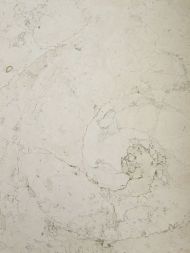 latszodo-betonfelulet