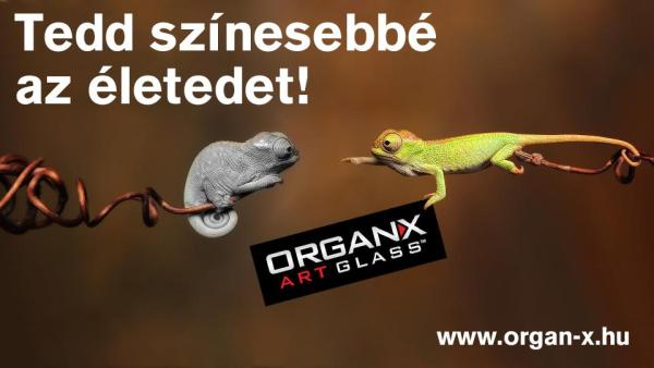 Organ-X díszüveg műhely