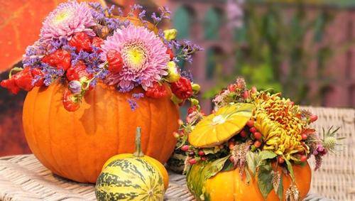 Sütőtök és dísztök dekoráció őszi virágokkal