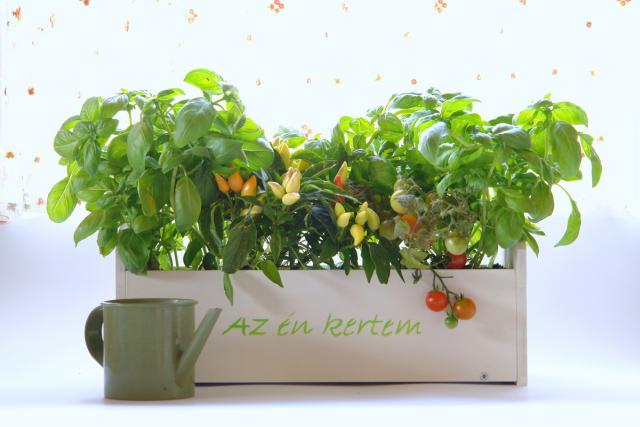 BeBird design mini virágláda