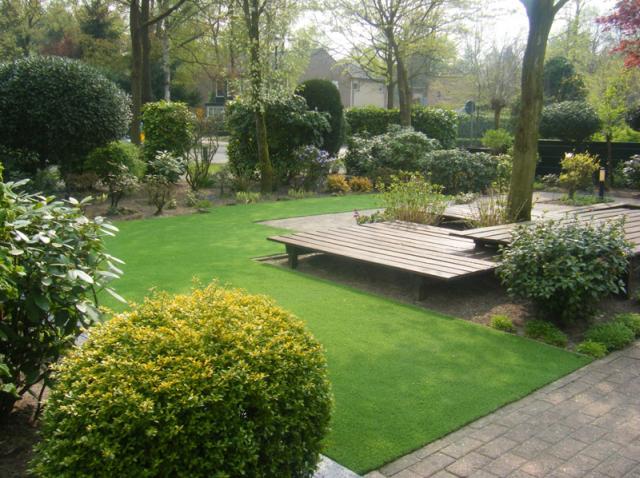 Műtű, holland pázsit kertbe