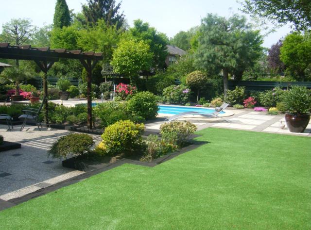 Műtű, holland pázsit kertbe