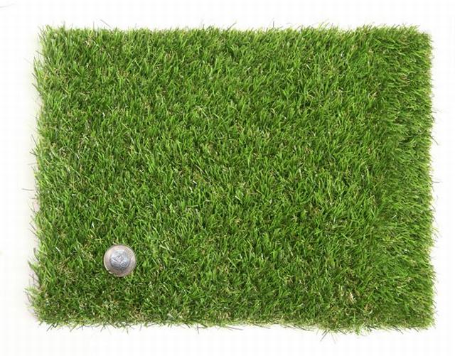 Műtű, holland pázsit minta