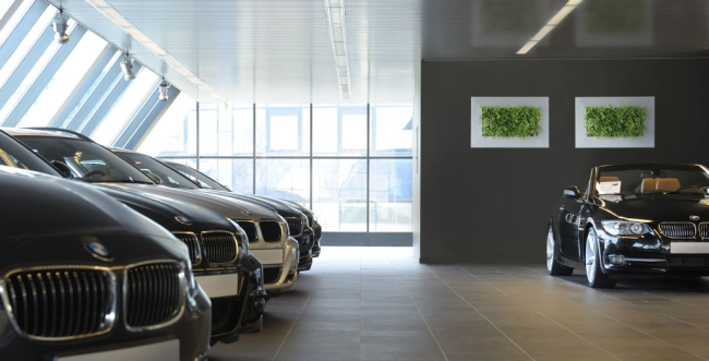 Növényfal dekoráció bemutatóteremben, autószalonban