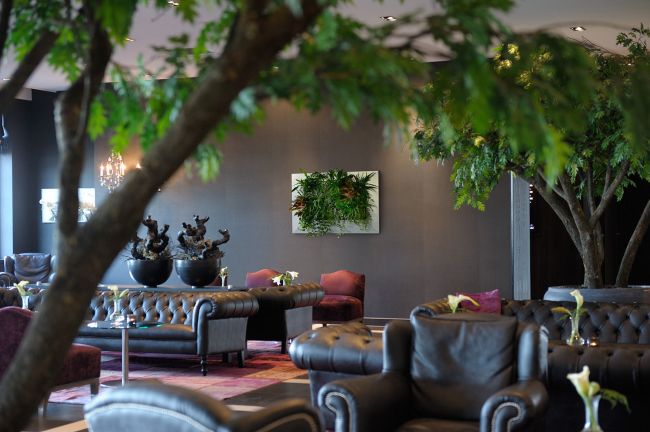 Dekoratív növénykép LivePicture