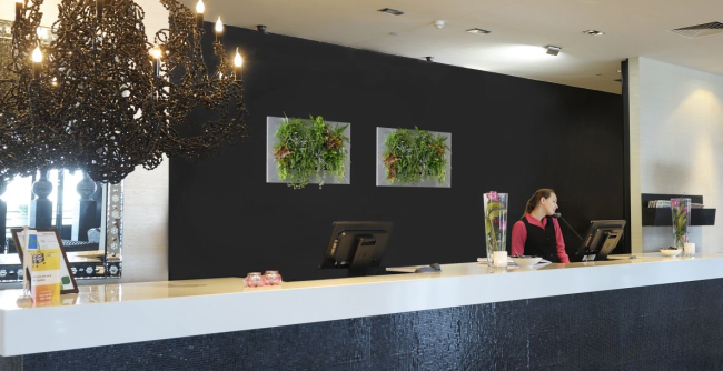 Látványos élő növényfal recepció mögött