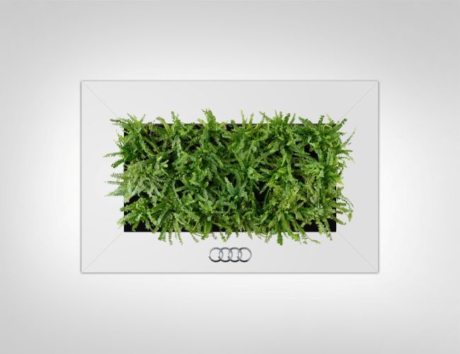 Egyedi logós növénykép keret audi logó