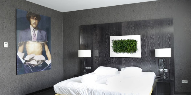 Élő növény dekoráció hálószobában