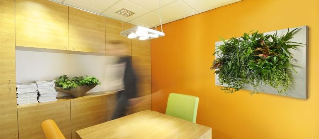 Fali növénykép irodában vagy tárgyalóban