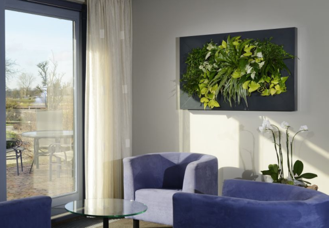 Élő növénykép virágdekoráció nappaliban