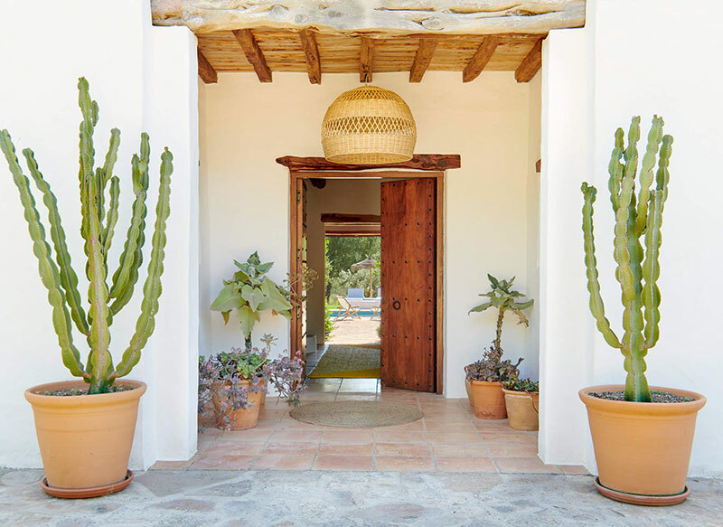 Kaktuszok a bejárat mellett