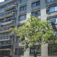 Bauhaus házak, középületek Bauhaus házak, középületek