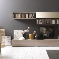 Europeo modern nappali bútor és könyvespolc kombin