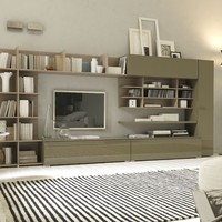 Europeo modern nappali bútor és könyvespolc kombin