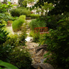 Deep Forest parképítés Deep Forest parképítés