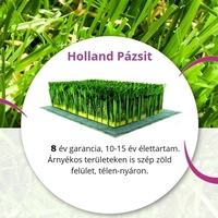 Holland Pázsit - Műfű forgalmazás
